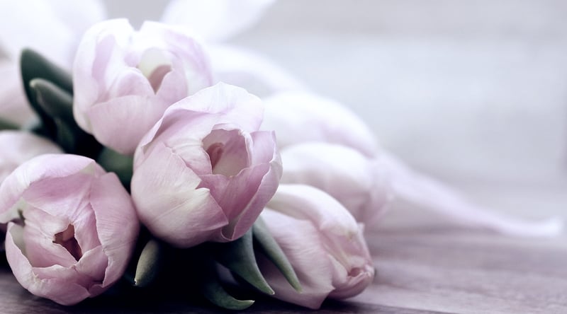 Elegant Blossoms